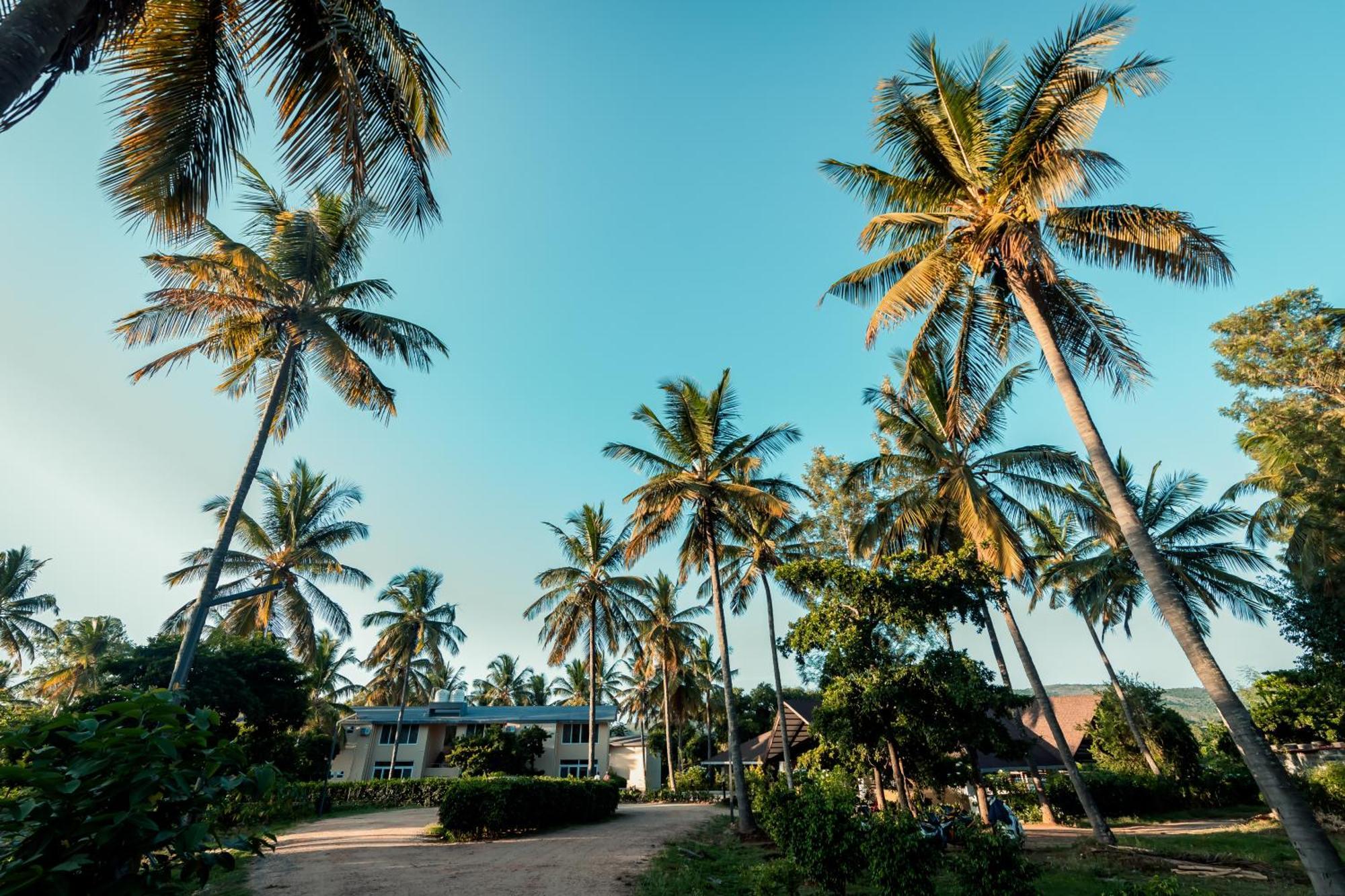 Commune18 Spa Resorts Chikmagalūr Eksteriør billede